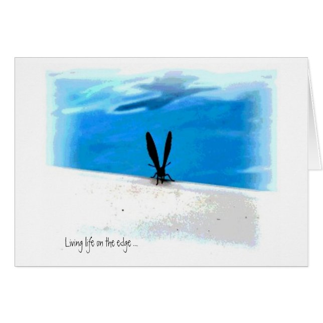 Gráficos Sillouette de mariposa (Anverso (Horizontal))