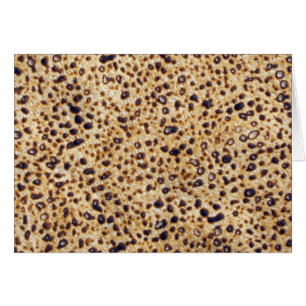 Gramo del Matzah de Shemura