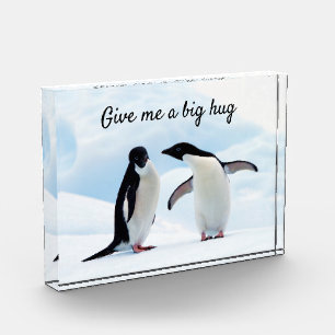 Gran abrazo al Pingüino en foto de hielo con texto