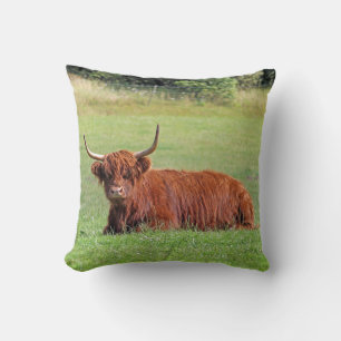 ¡Gran Almohada de toro!