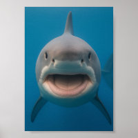 Gran arte de la pared del tiburón blanco ineficaz