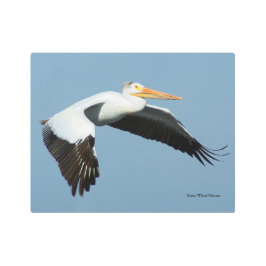 Gran arte metálico pelícano blanco