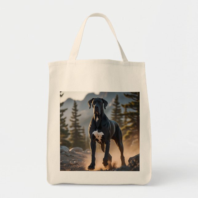 Gran Bolsa De Tote De La Cajera Elegante De Dane (Frente)