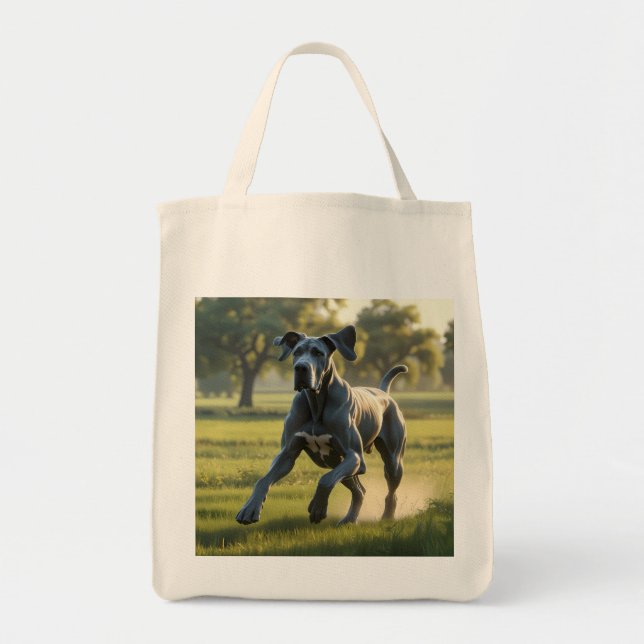 Gran Bolsa De Tote De La Cajera Elegante De Dane (Frente)