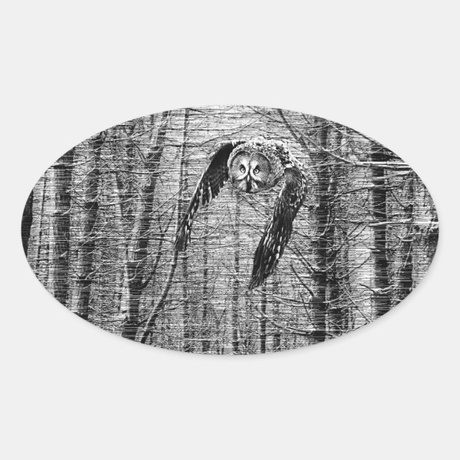Gran búho gris en pegatinas blancos y negros (Anverso)