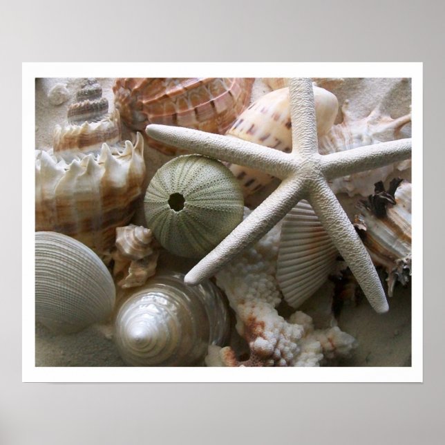 Gran cantidad de impresiones de las casetas de mar (Frente)