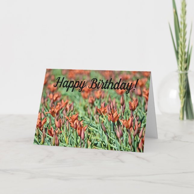 Gran cantidad de tarjeta de cumpleaños de Tulips N (Anverso)