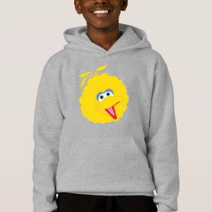 Gran cara de pájaro