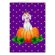 Gran Dane Halloween Blanco UC Dane-O-Lantern