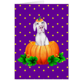 Gran Dane Halloween Blanco UC Dane-O-Lantern