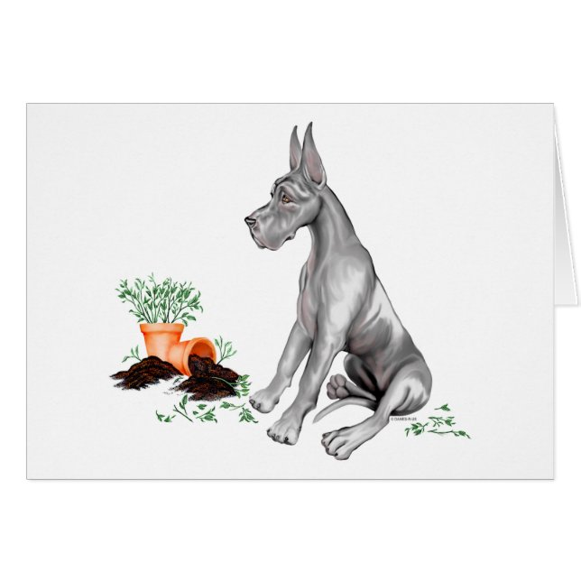 Gran dane Naughty Pup Black (Anverso (Horizontal))