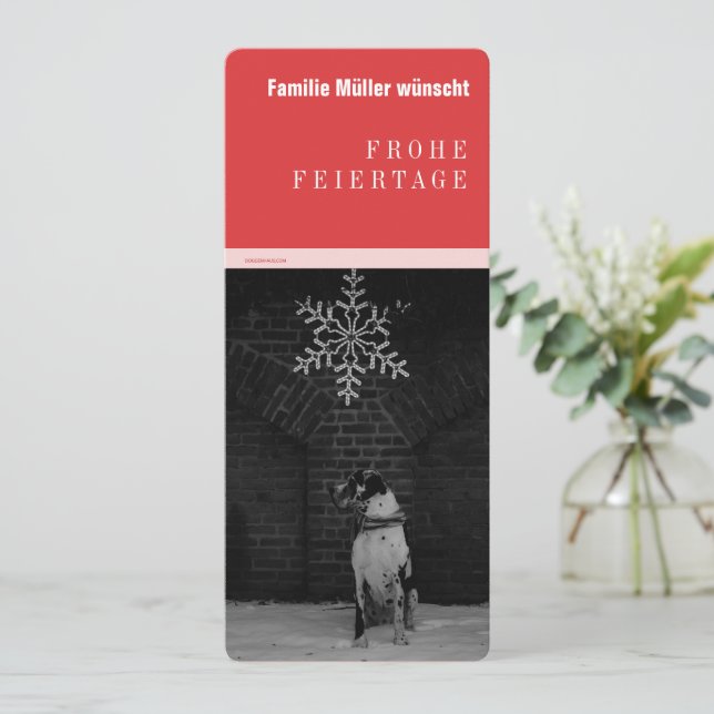 Gran dane rojo negro (Anverso de pie)