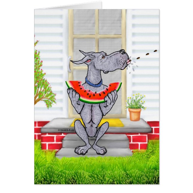 Gran Dane SPIT Blue (Frente)