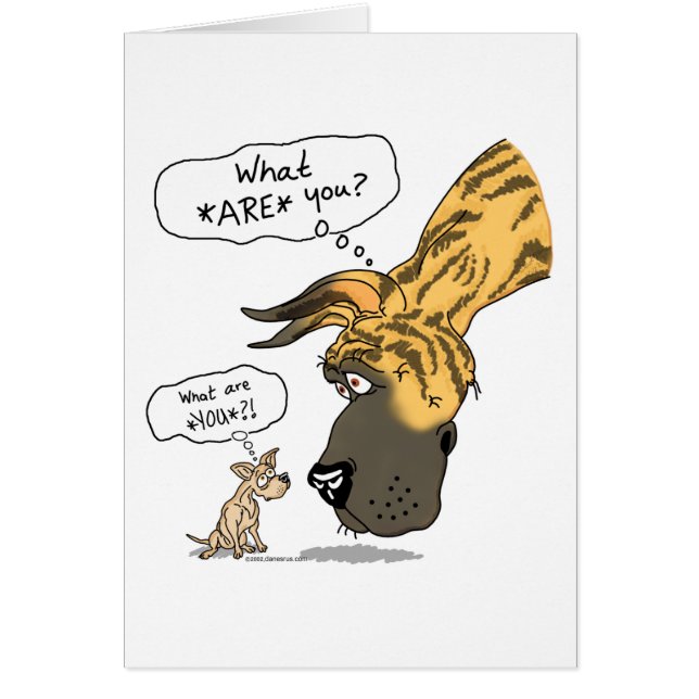 Gran dane y Chihuahua Brindle (Frente)