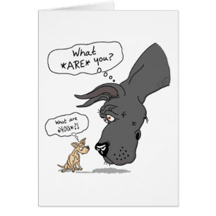 Gran dane y negro chihuahua