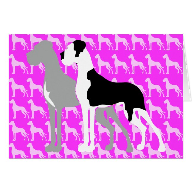 Gran Danes Azul Boston (Anverso (Horizontal))