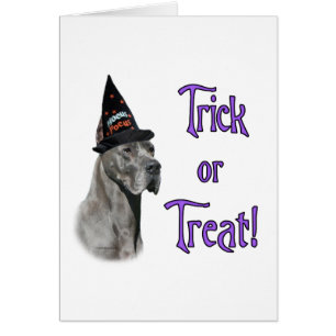 Gran danés (azul) Trick