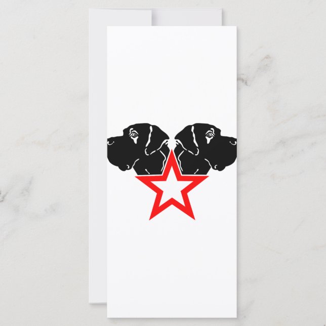 Gran Danés Cabeza Estrella (Anverso)