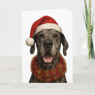 Gran danés con tarjeta de Navidad de sombrero de S