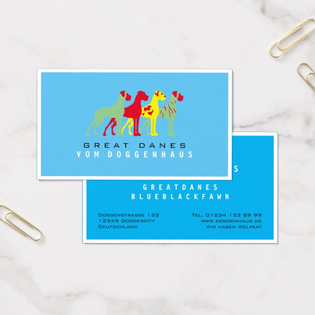 Gran Danés puro (Oficina)