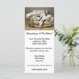 Gran danesa relajado en un sitio Mascota de Sofa m