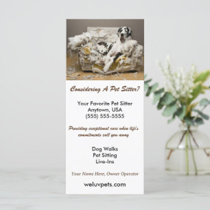 Gran danesa relajado en un sitio Mascota de Sofa m