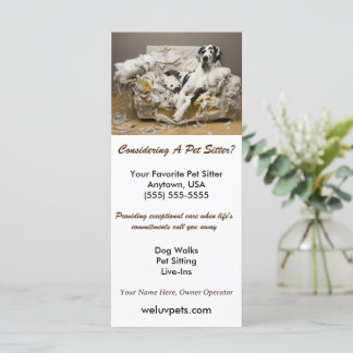 Gran danesa relajado en un sitio Mascota de Sofa m