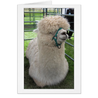 Gran demostración 2007 3 de Yorkshire