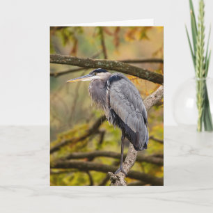 Gran garza azul con tarjeta de saludo de color oto