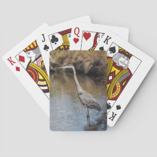 Gran garza azul en cartas para jugar al agua