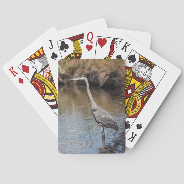Gran garza azul en cartas para jugar al agua (Reverso)