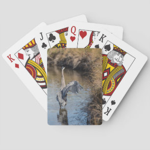 Gran garza azul en las cartas para jugar al agua