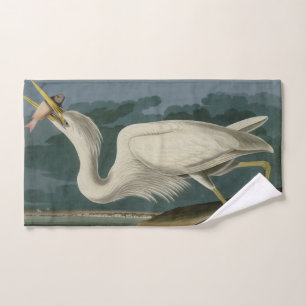 Gran garza blanca, de los pájaros de América de Au