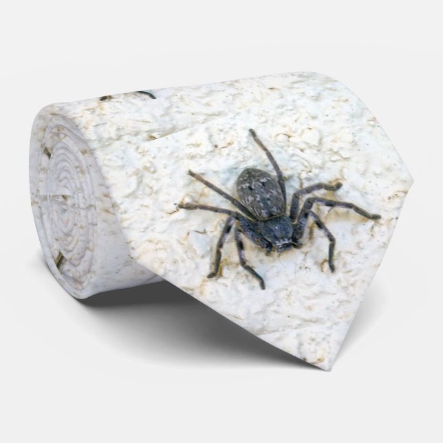 Gran hembra cazadora araña, corbata de cuello (Enrollado)