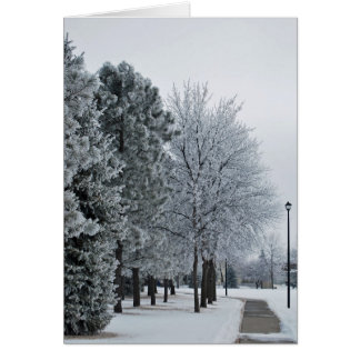 Gran horquilla de hormigón de hoar Frost de febrer