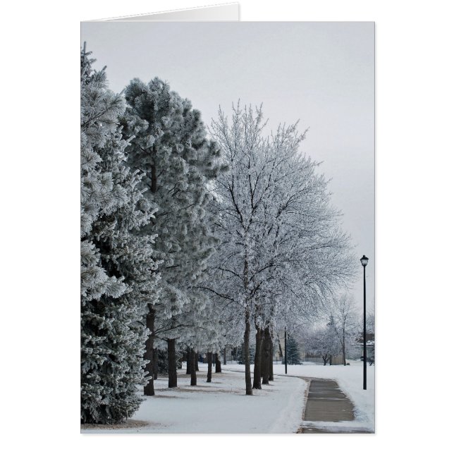 Gran horquilla de hormigón de hoar Frost de febrer (Frente)