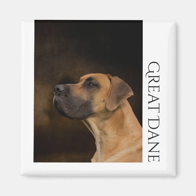 Gran imán de danés (Frente)