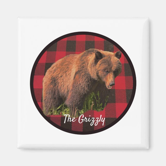 Gran imán de oso grizzly de cuadros de búfalo (Frente)