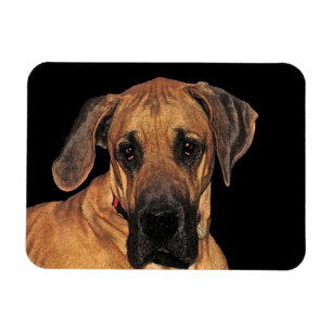 Gran imán flexible de perro danés