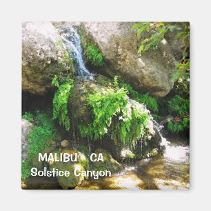 ¡Gran imán Malibu!