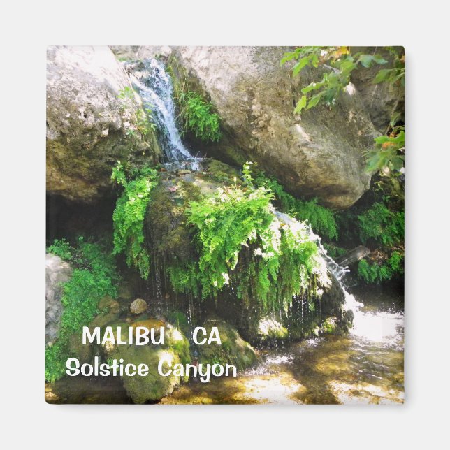 ¡Gran imán Malibu! (Frente)