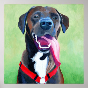 Gran impresión de arte de perro de Sydney