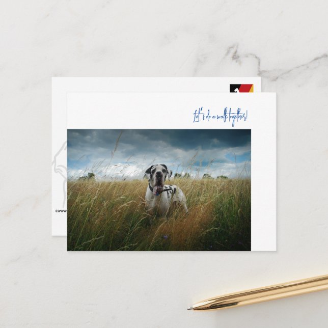 Gran invitación a caminar por el danés (Anverso/Reverso In Situ)