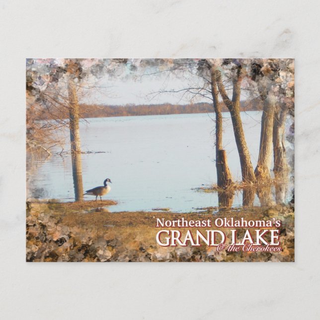 Gran lago de Oklahoma postal egret (Anverso)