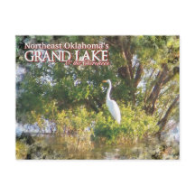Gran lago de Oklahoma postal egret