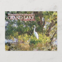 Gran lago de Oklahoma postal egret