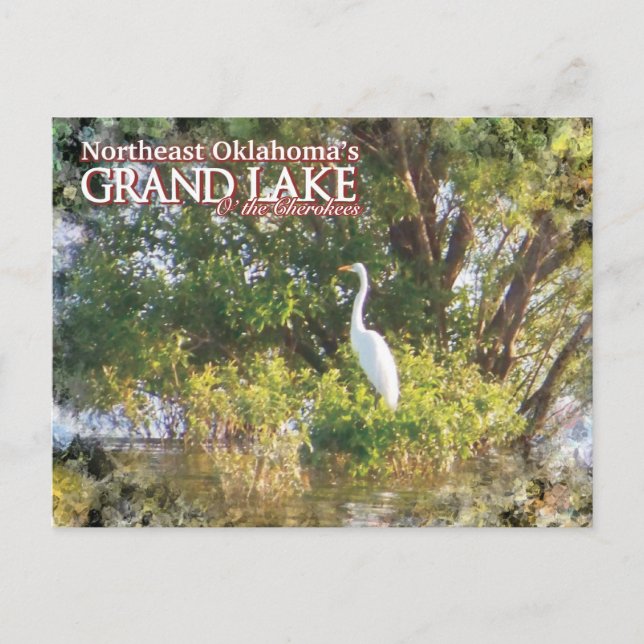 Gran lago de Oklahoma postal egret (Anverso)