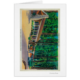 Gran Logia de Árboles en Mariposa Grove