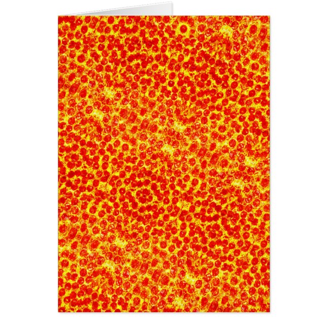 Gran patrón de pizza (Frente)