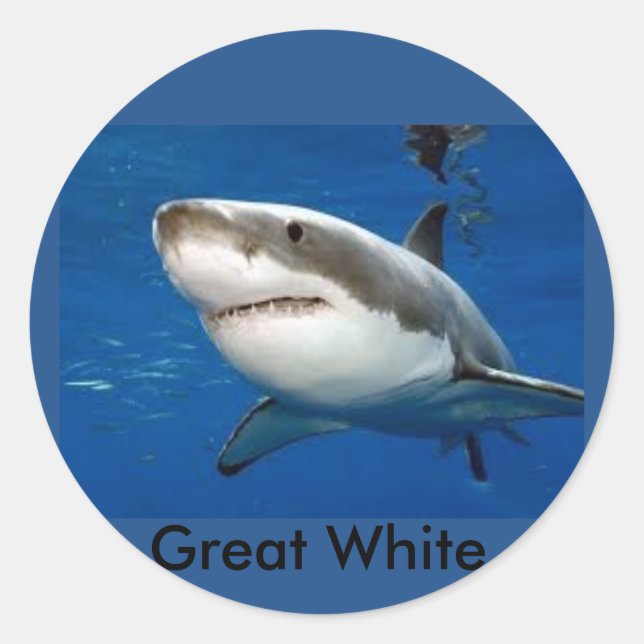Gran pegatina del Tiburón Blanco (Anverso)